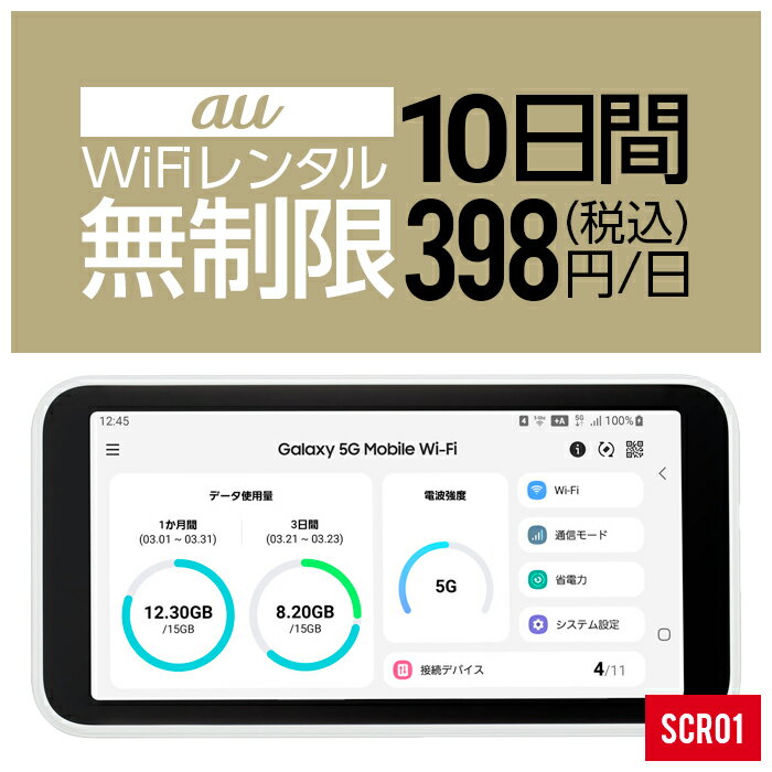 【レンタル】 wifi レンタル 無制限 10日 即日発送 