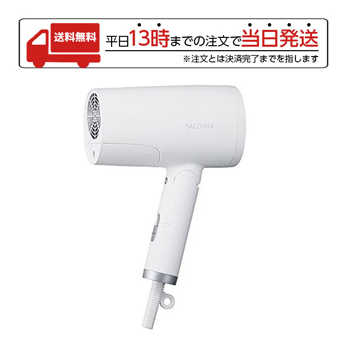 【スーパーSALE限定 大特価】 サロニア トリートメント ミストドライヤー 家電 美容家電 大風量 速乾 マイナスイオン コンパクト 軽量人気 軽い 持ち運び 頭皮ケア 美容ミスト SALONIA