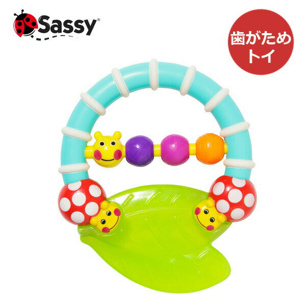 歯がため Sassy サッシー カミカミあ