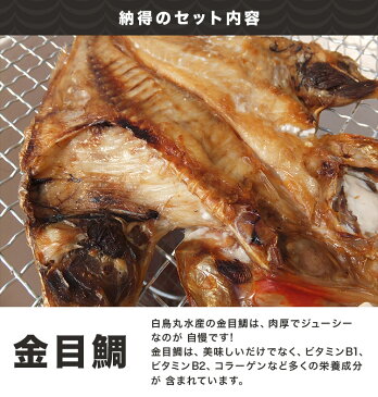 お歳暮ギフト 大漁セット 干物セット 送料無料 干物 冷凍 真空パック 美味しい ギフト 贈り物 干物 海鮮 金目鯛 えぼ鯛 鯵 秋刀魚 イカ 真イワシ 鯖 鮭 お土産 セット 詰め合わせ お取り寄せ プレゼント 内祝 祝い 年賀 お正月 おせち あす楽