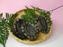 ギフト プレゼント お取り寄せ グルメ 詰め合わせ 干物 食べ物 ギフト 干物ギフト 【送料無料】国産あわび1キロ入り 天然アワビ 鮑 海鮮 厳選 あわび 刺し...