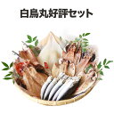 内祝い お家ごはん ギフト プレゼント お取り寄せ グルメ 詰め合わせ 干物 食べ物 お歳暮ギフト 白鳥丸 好評セット お歳暮 送料無料 海鮮 贈答品 惣菜 おつまみ ひもの 魚 金目鯛 えぼ鯛 あじ さんま 秋刀魚 いか いわし 鰯 セット 年賀の商品画像