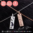 ペアネックレス シルバー925 サージカルステンレス316L 誕生石 刻印無料 アミュレット お守り いぶし 猫 三日月 星 ピンク&シルバー WSPD858P...