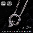ネックレス シルバー925 サージカルステンレス316L 誕生石 アミュレット お守り 猫 星 ブラック WSPD855BK white clover カップル...