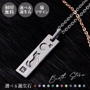 ネックレス シルバー925 サージカルステンレス316L 誕生石 刻印無料 アミュレット お守り 猫 三日月 星 ブラック WSPD858BK white cl...