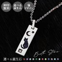 ネックレス シルバー925 サージカルステンレス316L 誕生石 刻印無料 アミュレット お守り いぶし 猫 三日月 星 シルバー WSPD858SV whit...