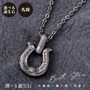 ネックレス シルバー925 サージカルステンレス316L 誕生石 アミュレット お守り 馬蹄 ホースシュー メッセージ ブラック WSPD859BK white...