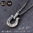 ネックレス シルバー925 サージカルステンレス316L 誕生石 アミュレット お守り いぶし 馬蹄 ホースシュー メッセージ シルバー WSPD859SV w...