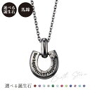 ネックレス シルバー925 サージカルステンレス316L 誕生石 アミュレット お守り 馬蹄 ホースシュー メッセージ ブラック WSPD860BK white...