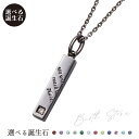 ネックレス シルバー925 サージカルステンレス316L 誕生石 アミュレット お守り コンパス 羅針盤 メッセージ ブラック WSPD866BK white ...