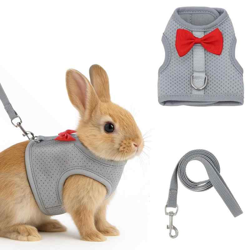 ウサギ 子猫 ハーネス リード セッ�