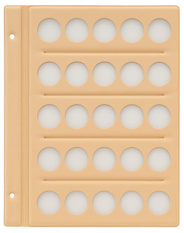 テージー コインアルバム(無地) スペア台紙 C-31S6 TEJI