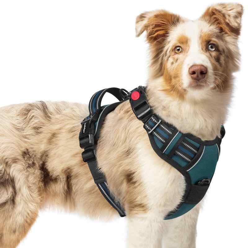 [最新型犬ハーネス]rabbitgoo 犬 ハーネス 犬用胴輪 小型犬/中型犬/大型犬 引っ張り防止 (ダークグリーン M)ぴったりフィット感を実現：四ヶ所に調整可能な部分があり、ほとんどの犬種に適応し、自由な動きを確保しながらフィットします。首回りと胴回りにそれぞれ2つのストラップが付いているので、急成長期の犬のために特別に作られました。 サイズ情報：首回り48.8～59.7cm、胸回り48.8～72.4cm。着脱が楽で使いやすい：この犬用ハーネスは、首に1つ、胸に2つのバックルが付いているため、合計で3つのバックルがあり、着脱が非常に簡単です。犬の頭を通さずに装着できるため、毎回フィット感を調整する必要がありません。また、ご愛犬にとって咳き込みを軽減し、窮屈にも感じません。超安全なデザイン：この犬用ハーネスは丈夫なオックスフォード生地を使用し、強化された縫い目によって耐久性が高められています。首元のロックバックルは安全なフィットをし、極度の圧力下でも外れることを防ぎます。広範囲に光を反射するため、暗い夜道でも目立ち、遠くから注意を引き、夜の散歩などがより安心になります。耐久性が良い・柔らかい材質：内側には柔らかいスポンジメッシュを使用しており、ふわふわで擦れません。通気性が高く、長時間着用しても着心地が良いため、着たり脱いだりする手間が省けます。また、広めのデザインのハンドルにより、ワンちゃんの動きをより良く制御でき、安全性が確保されます。多様な使用シーンに対応：引っ張り防止の犬用ハーネスには、2つの金属製リーシュ取り付けポイントがあり、日常の散歩、ジョギング、ランニングなどの様々な活動に適しています。さらに、人間工学に基づいて設計されたトップハンドルは、追加のトレーニングサポートや持ち運びも便利です。