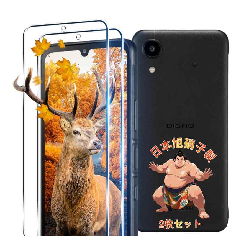 【2枚セット】 用 DIGNO SX5 KC-S306 ガラスフィルム 2枚 DIGNO SX5 フ ...