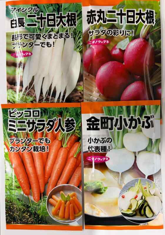 Rakuten - 日本農産種苗 種(野菜) ミニ野菜セット 901095 小さなスペースでも栽培できる 4入