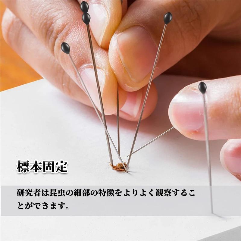 DENGUJD 標本ピン 虫ピン 昆虫針 昆虫標本針 100本セット ピン ステンレス 昆虫学 解剖 標本用品 昆虫学ピン 蝶コレクター 標本針 長さ40mm 幅0.32mm