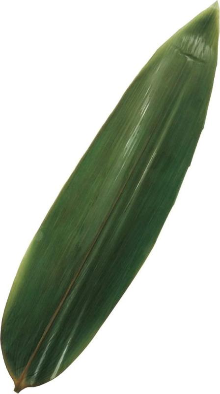 Rakuten - 神堂 料理飾り 青笹 M (9×35×3cm) 100枚入 業務用