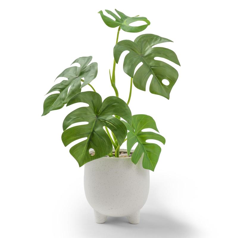 乐天商城 - WillingYou フェイクグリーン モンステラ 一体型 人工 観葉植物 陶器鉢付き 高さ40cm 届いてすぐ飾れる おしゃれ インテリアグリーン 水やり不要 ギフトにも