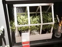 あす楽★5の倍数日は楽天カードエントリーで5倍/【IKEA】イケア通販【senapskal】デコレーション グリーンハウス, 室内/屋外用 ホワイト, 29 cm