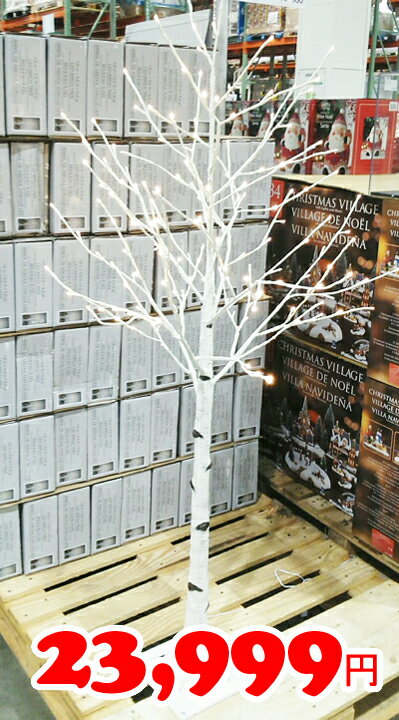 即納★【COSTCO】コストコ通販クリスマス　白樺ツリー　LED168球（約167cm）※別途送料1000円