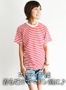 y[ |RbgXgCvN[lbNyAmericanApparelz(Ladies)Poly-CottonStripe Crew Neck/ʔ