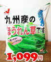 ★即納★【COSTCO】コストコ通販【ニチレイ】九州産　ほうれん草 700g（冷凍食品）