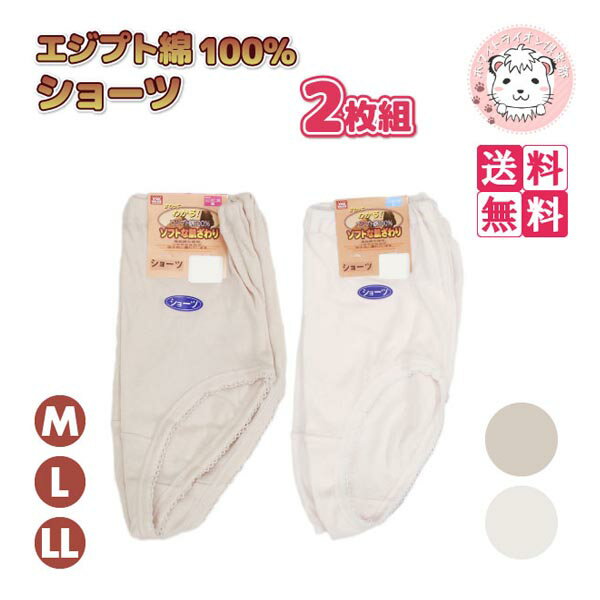 楽天ホワイトライオン倶楽部ショーツ 2枚組6セット エジプト綿 綿100％ 深履きショーツ パンティ パンツ M/L/LL フェムケア フェムテック
