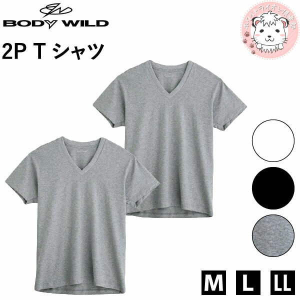 tシャツ メンズ 半袖 グンゼ ボディワイルド VネックTシャツ 2枚組 BW50152 M/L/LL