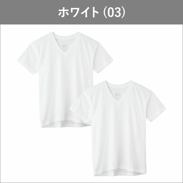 tシャツ メンズ 半袖 グンゼ ボディワイルド VネックTシャツ 2枚組 BW50152 M/L/LL