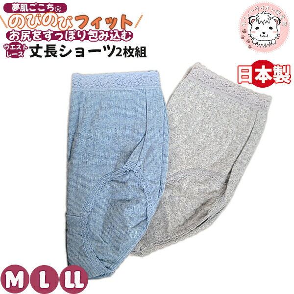 【アウトレット】夢肌ごこち ヒップ快適 のびのびフィット スパン入り ウエストレース ショーツ 2枚組 L | ストレッチ フルウエストショーツ 日本製 パンツ