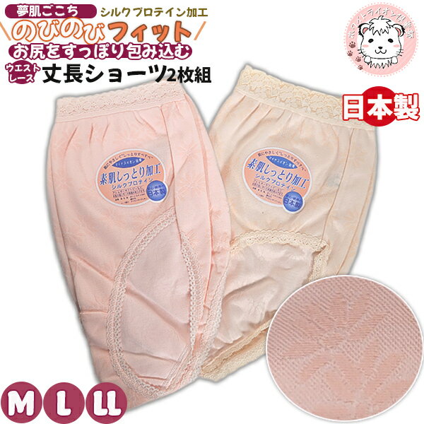 【アウトレット】夢ごこち ヒップ快適 素肌しっとり加工 シルクプロテイン ウエストレース ショーツ 2枚組 LL | フルウエストショーツ パンツ 日本製