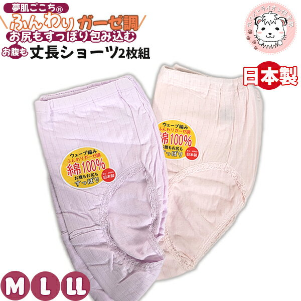 【アウトレット】夢肌ごこち ヒップ快適 ウェーブ編み ふんわり ガーゼ調 綿100% ショーツ 2枚組 L | フルウエストショーツ 日本製 パンツ スタンダー...