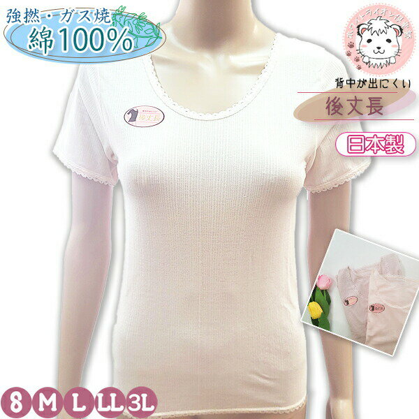 【アウトレット】半袖 インナーシャツ レディース 強撚 ガス焼 吸汗速乾 綿100% 後丈長 3分袖インナー 背中が出にくい 針抜き 日本製 S