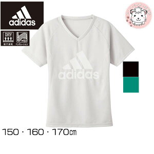 【在庫限り】グンゼ アディダス VネックT シャツ APC4575-85 150cm-170cm GUNZE adidas ADIDAS ボーイズ 男の子 男子 男児 キッズ ジュニア アンダーシャツ V首 子供 スポーツ 部活