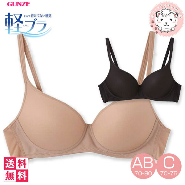 楽天ホワイトライオン倶楽部グンゼ 軽ブラ レディース ノンワイヤーブラジャー EB6215H 4枚セット A70-C75 フェムケア フェムテック