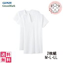 グンゼ グリーンマーク メンズ 半袖U首シャツ 2枚組×5セット GK12157 M/L/LL(4)