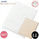 はらまき 2枚セット メンズ 腹巻き グンゼ 愛情はらまき 綿スパン入り リブ 腹巻 二重タイプ 日本製 HAM100B LL フェムケア フェムテック