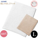 はらまき 2枚セット メンズ 腹巻き グンゼ 愛情はらまき パイル腹巻 腹巻 二重タイプ 日本製 HAM200B L フェムケア フェムテック