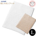 はらまき メンズ 腹巻き グンゼ 愛情はらまき パイル腹巻 腹巻 二重タイプ 日本製 HAM200B L フェムケア フェムテック(4)