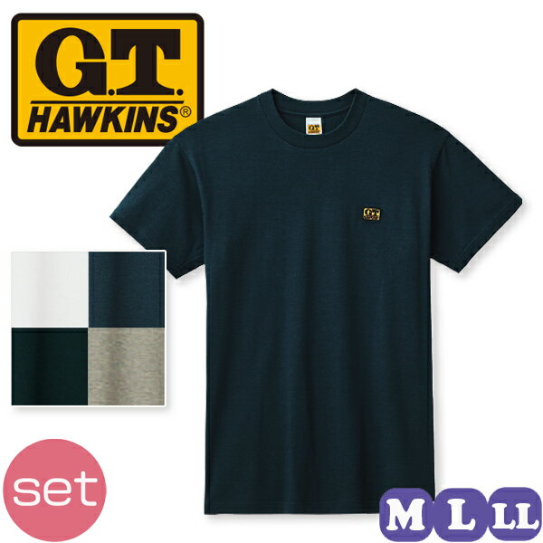 tシャツ メンズ 半袖 グンゼ G.T.HAWKINS ホーキンス Tシャツ 丸首 クルーネック 綿100% HK2113B 10枚セット M/L/LL