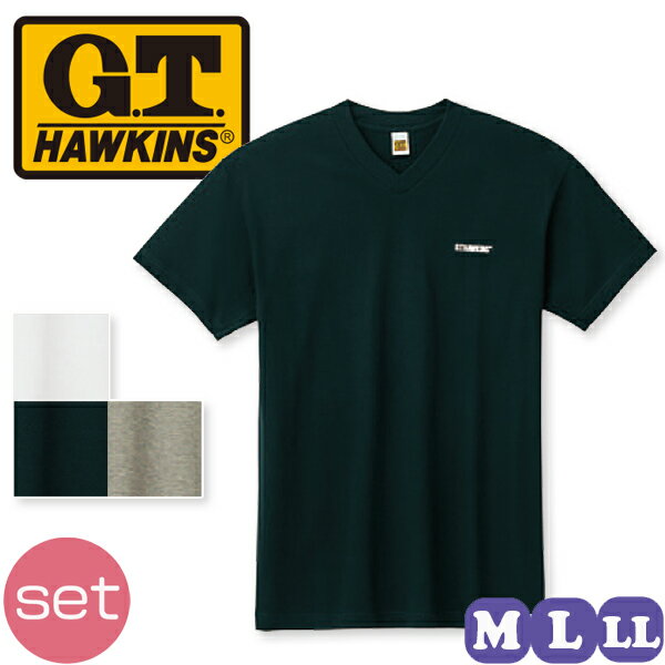 楽天ホワイトライオン倶楽部グンゼ G.T.HAWKINS ホーキンス VネックTシャツ HK2115B 10枚セット M/L/LL