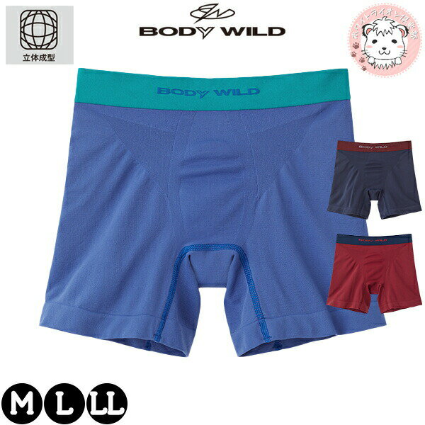 ܥѥ GUNZE  BODY WILD ܥǥ磻 e-BOXER ߥ Ω ɽ Ȥ ʥ BWS682J M/L/LL