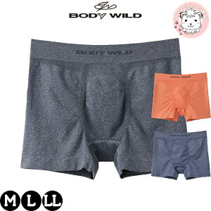 グンゼ ボディワイルド 成型 ボクサーブリーフ BWS853J M L LL GUNZE BODYWILD Bodywild ボクサーパンツ ボクサー メンズ 立体成型 綿混素材 前閉じ