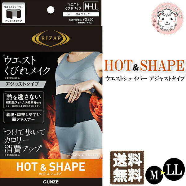 グンゼ ライザップ ウエストシェイパー アジャストタイプ 送料無料 抗菌防臭 M-LL | 薄手 引き締め ソフト面ファスナー ナイロン レディース インナー ...