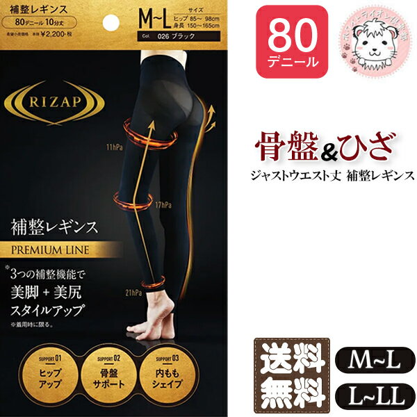 グンゼ ライザップ スタイルアップ 補正レギンス ジャストウエスト 80デニール RZF31P 3足セット M-L/L-LL フェムケア フェムテック