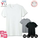 【アウトレット】半袖 クルーネックTシャツ メンズ インナー グンゼ YG ワイジー コットン100% 半袖丸首 シャツ YV0013N M/L/LL/3L