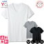 グンゼ YG ワイジー メンズ コットン100% 半袖 VネックTシャツ 10枚セット M/L/LL/3L