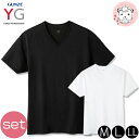 tシャツ 2枚セット メンズ 半袖 VネックTシャツ グンゼ YG コットン 超速吸水 V首Tシャツ YV0615V M/L/LL