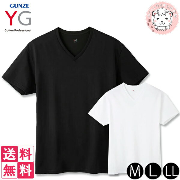 tシャツ 2枚セット メンズ 半袖 VネックTシャツ グンゼ YG コットン 超速吸水 V首Tシャツ YV0615V M/L/LL 1