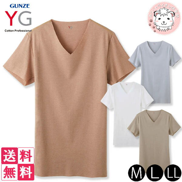 半袖 VネックTシャツ メンズ グンゼ YG カットオフ クールタイプ 日本製 YV1915 M/L/LL